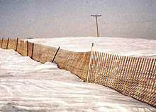 Kalinich-Fence-Company-Custom Fence