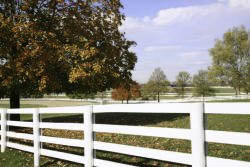 CB-Fencing-and-Land-Improvements-Wooden-Fence