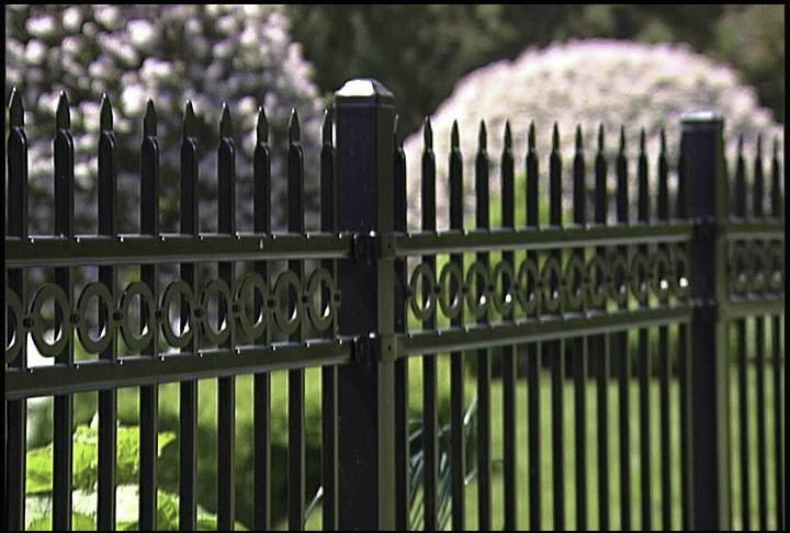 Bowden Fence Iron Fence