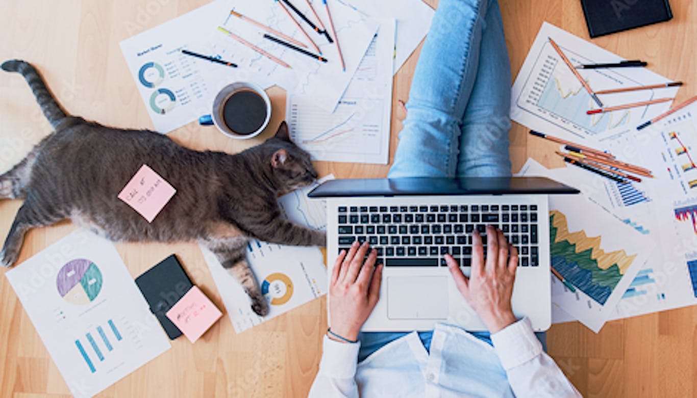 stock photo showing a person working from home