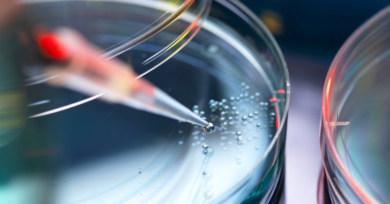 petri dish