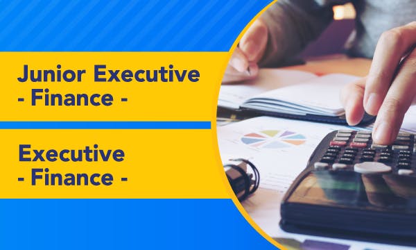 Junior Executive/ Executive - Finance