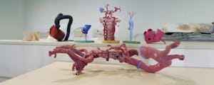 Hospital Sant Pau - Success Case in 3D Printing