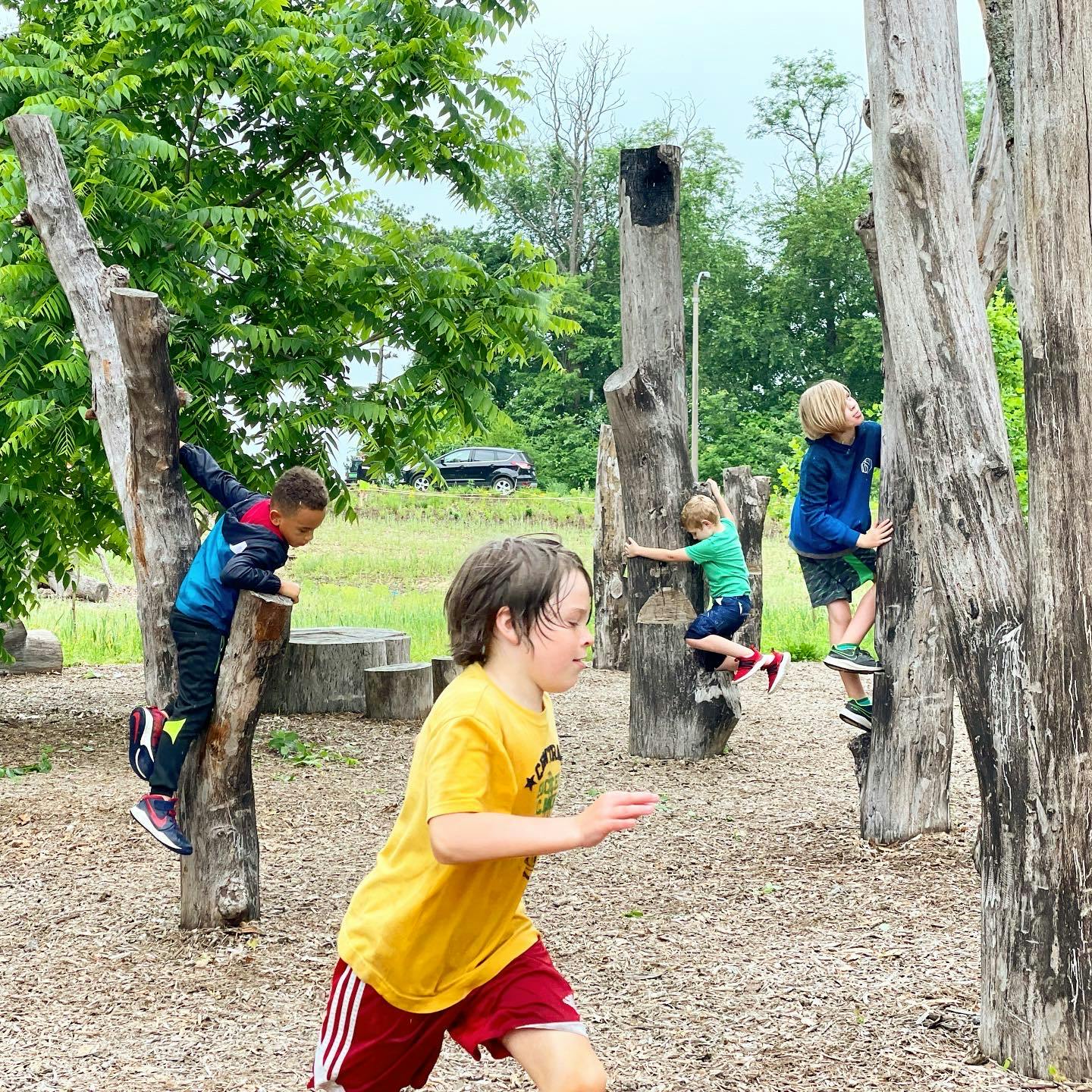 Initial Impressions: Anne O'C. Albrecht Nature Playscape - Forest Park —  St. Louis City Talk