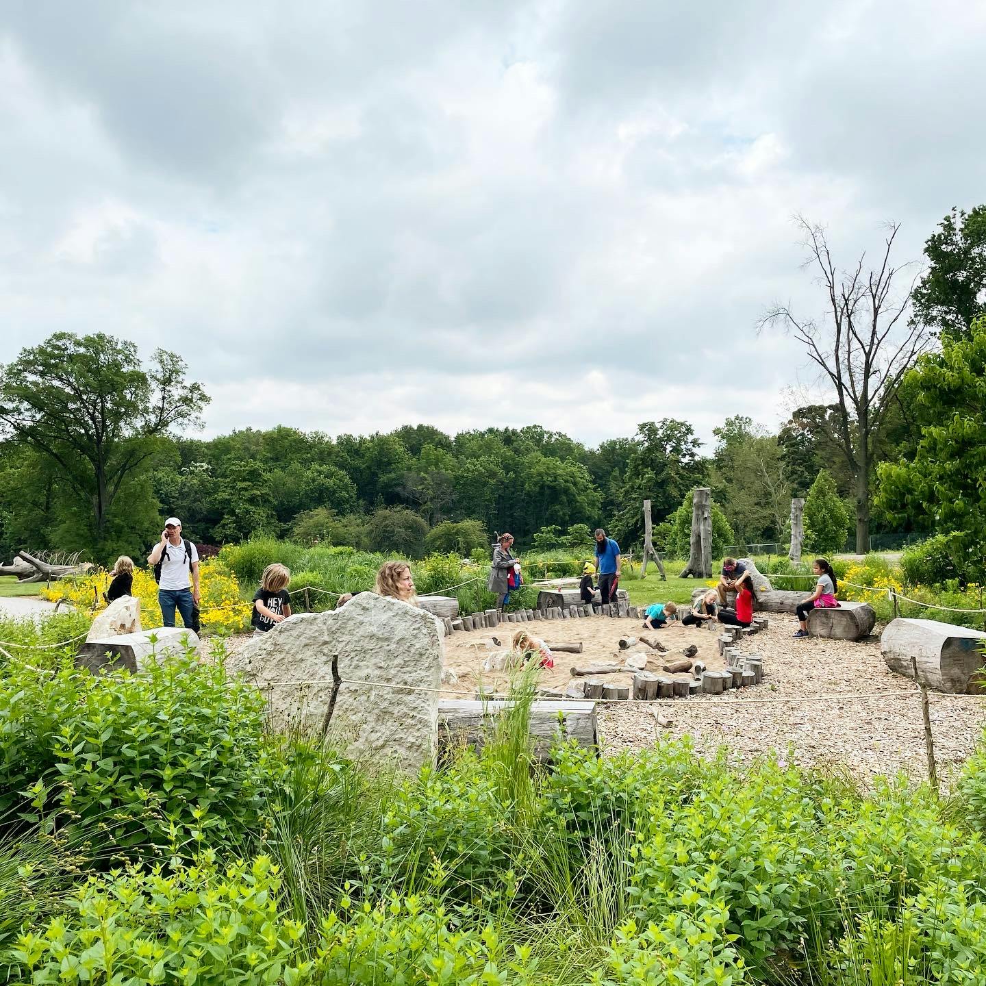 Initial Impressions: Anne O'C. Albrecht Nature Playscape - Forest Park —  St. Louis City Talk