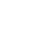 No alternate text