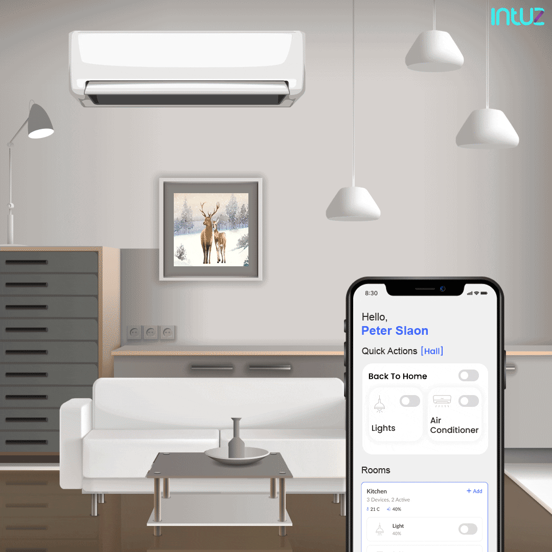 Does IoT Work Without The Intuz