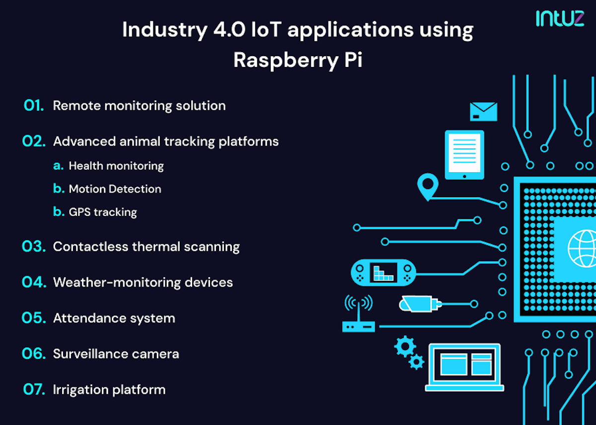 Developing IoT Software Solution Using Raspberry Pi What It Takes