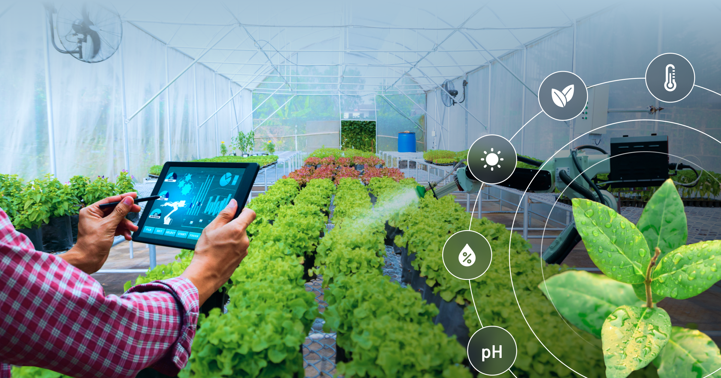 How IoT And AI Reforming The Agriculture Sector?