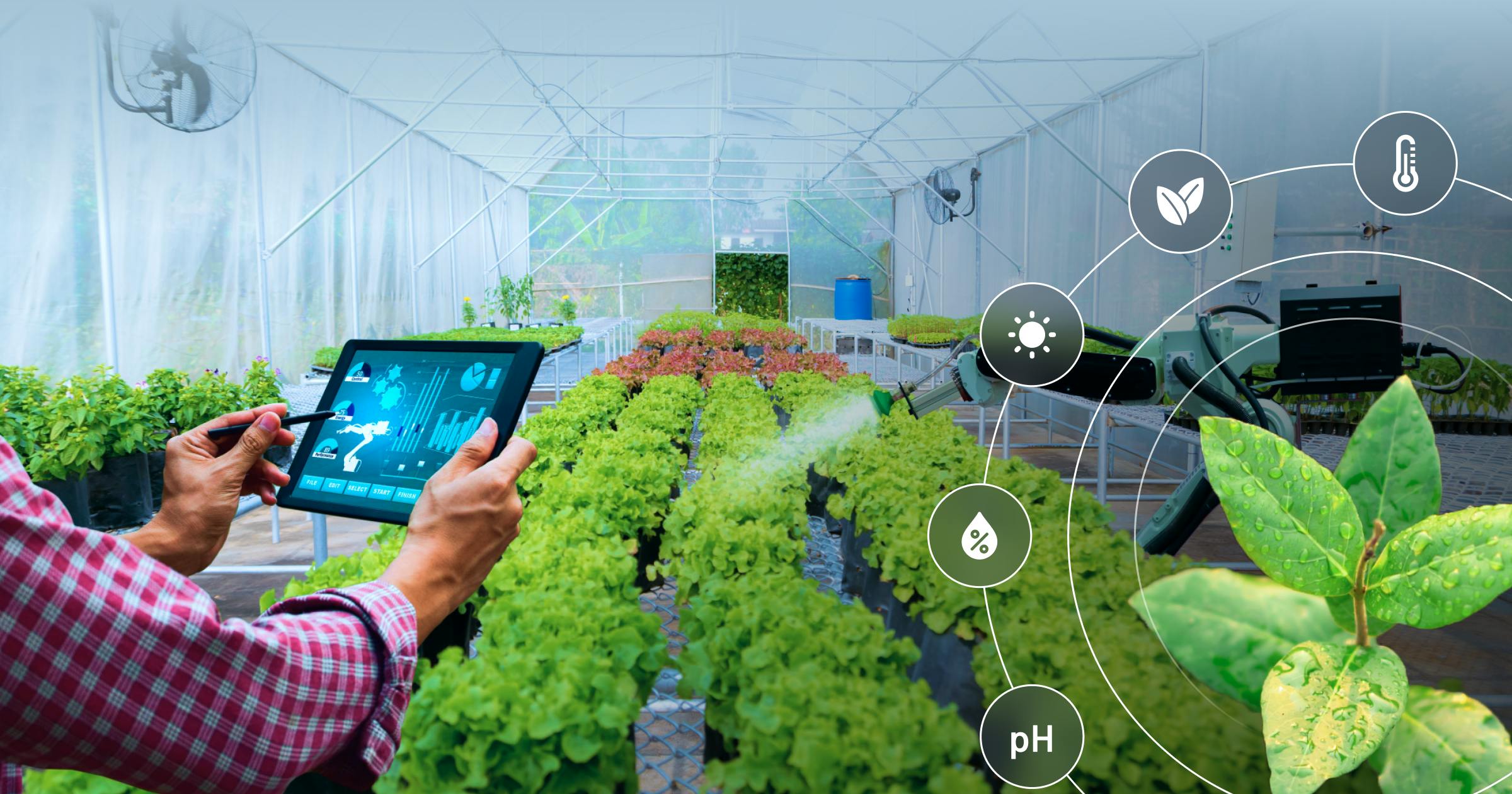 IoT और AI कृषि क्षेत्र में कैसे सुधार कर रहे हैं?