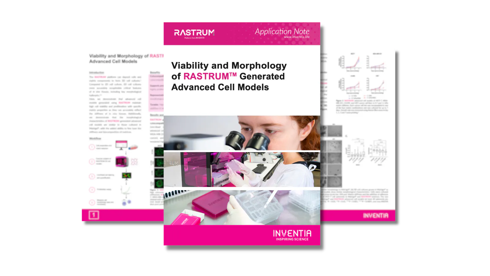 Viability and morphology of RASTRUM™ generated advanced 3D cell models