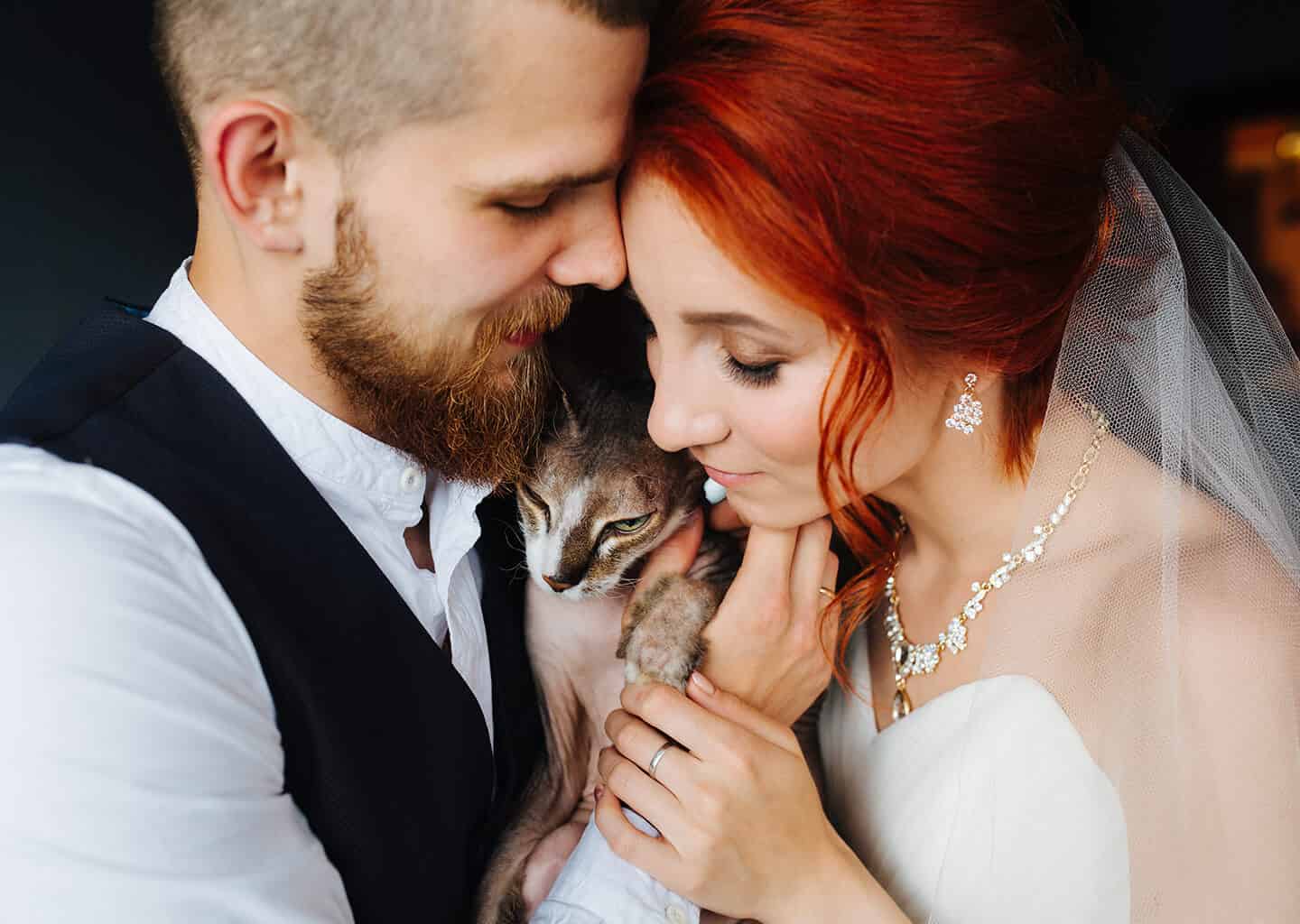 Yakın plan çekimde gelin ve damat birbirlerine sarılıyor. Gelin ve damadın arasında kahverengi bir kedi duruyor. Gelinin üzerinde straplez bir gelinlik ve damadın üzerinde damatlık bulunuyor.