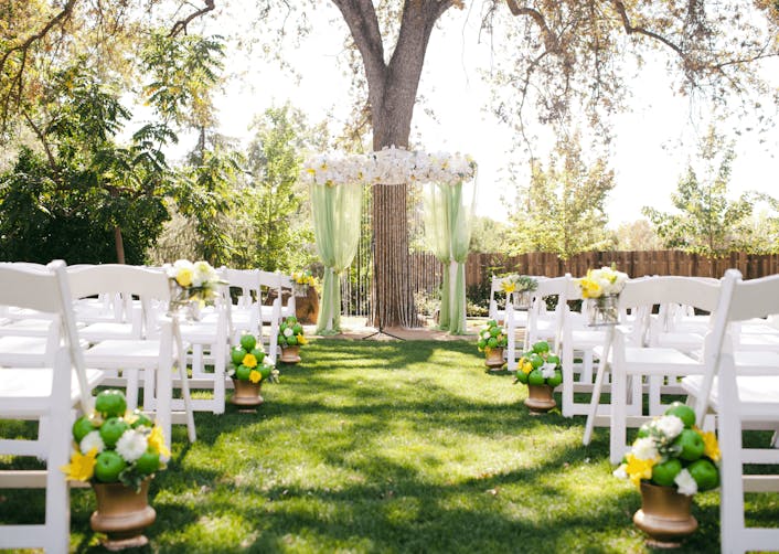 Çevresi yeşillik bir alan olan bahçe içerisinde; sandalyeler ve tören alanı için yapılmış, yeşil tüller ile süslenmiş dekor bulunuyor. Dekorun tam arkasında kolları iki yana ayrılmış yaşlı bir ağaç duruyor.