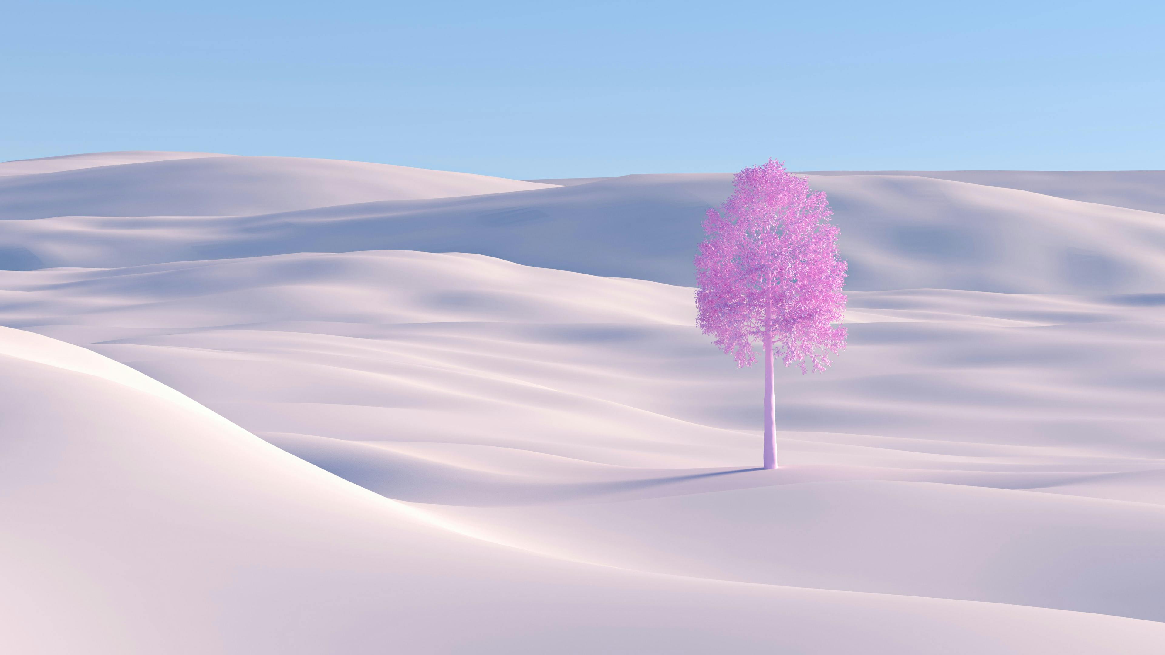A desert with a lone pink tree to represent problems with the metaverse around low concurrent metaverse users