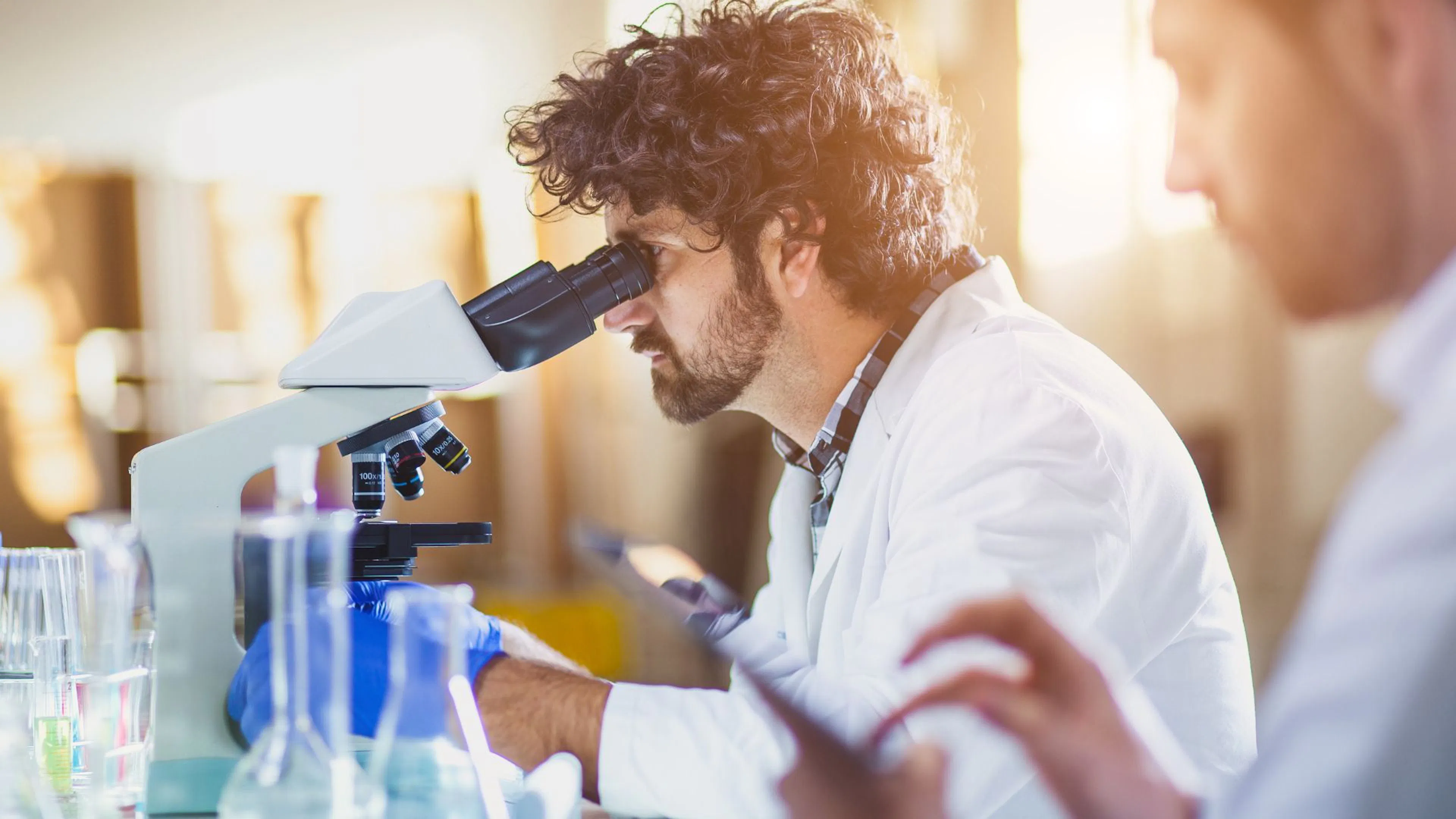 Scaling Regulatory Verification Automated Lab Report Analysis_Case Study