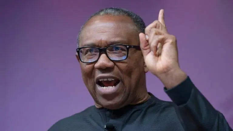 Why I met Abacha – Peter Obi