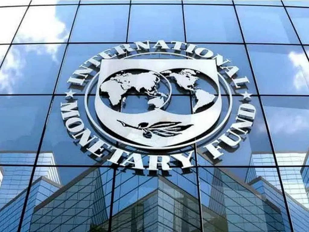 FIRS has made significant progress —IMF