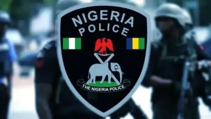 Suspected Boko Haram Terrorists Attack Niger Police Camp, Kill Officers