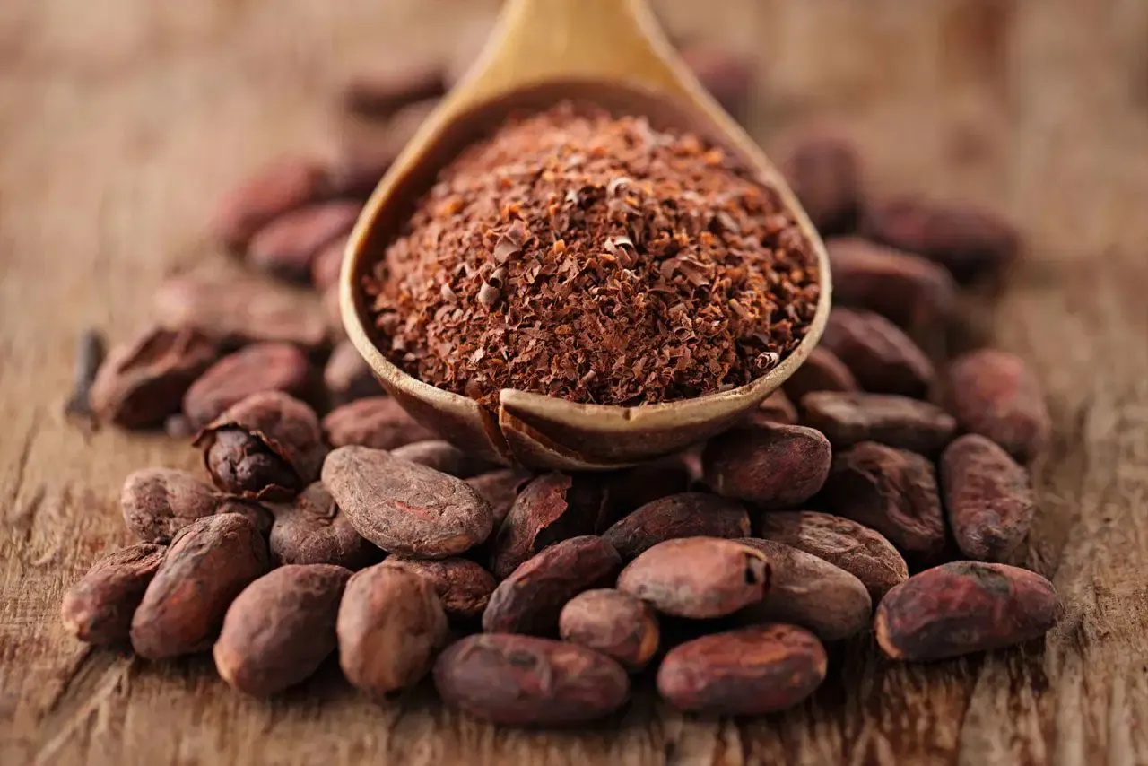 Cocoa, coffee farmers seek African bloc, $6,000 floor price to end foreign control