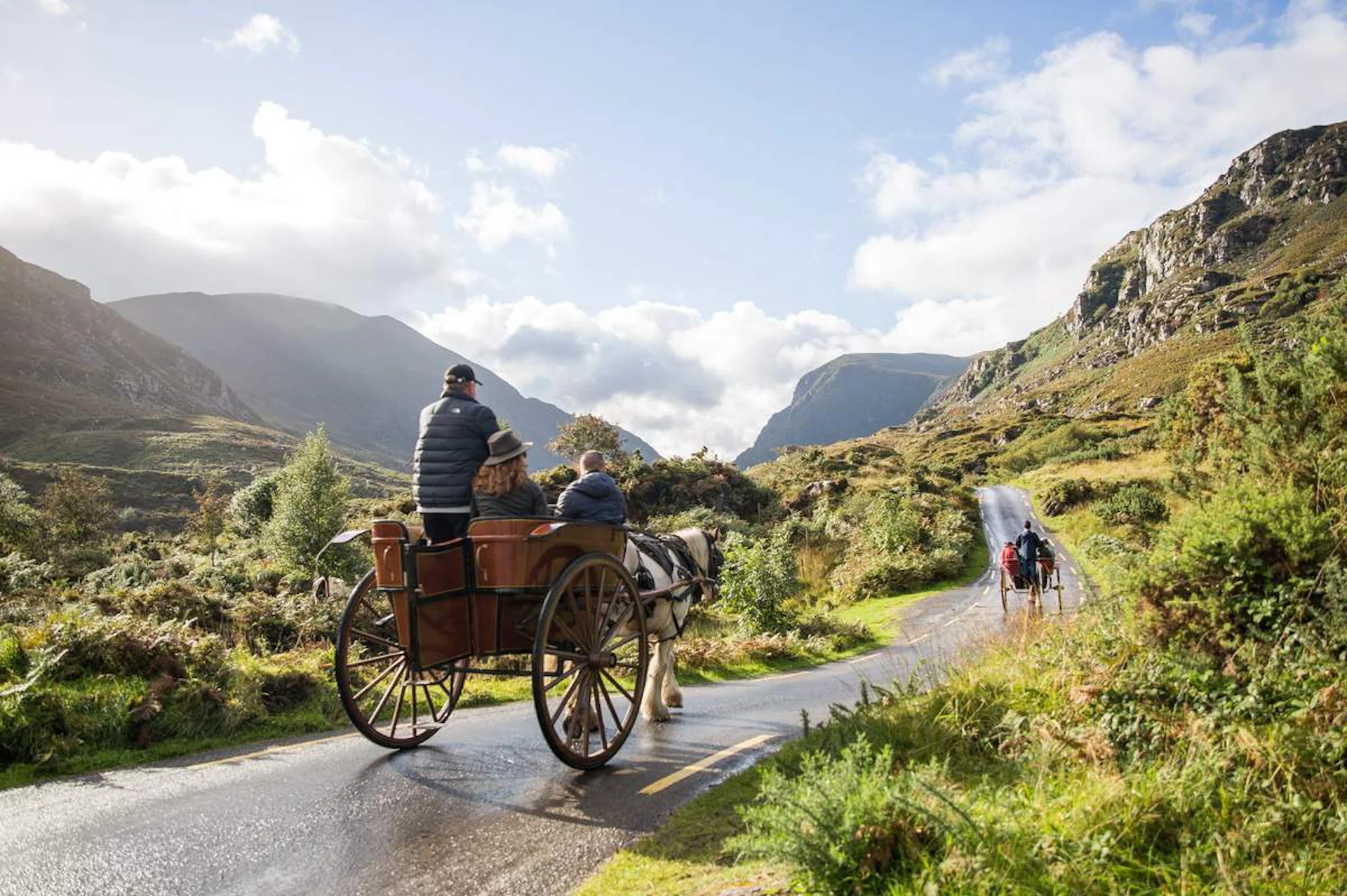 ring of kerry horse and carriage ride