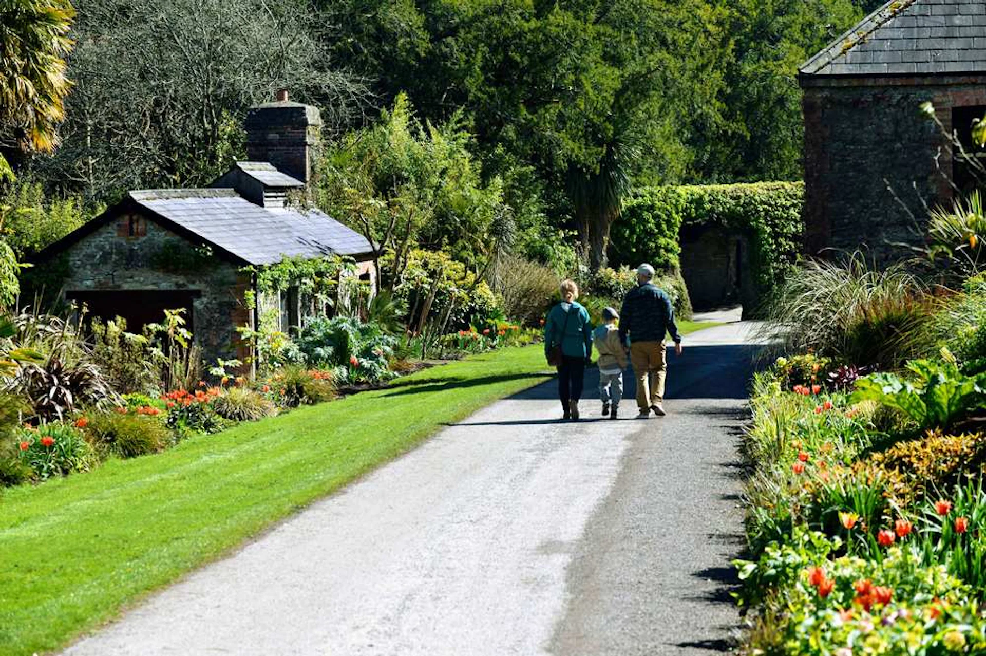 a family exploring county cork in ireland
