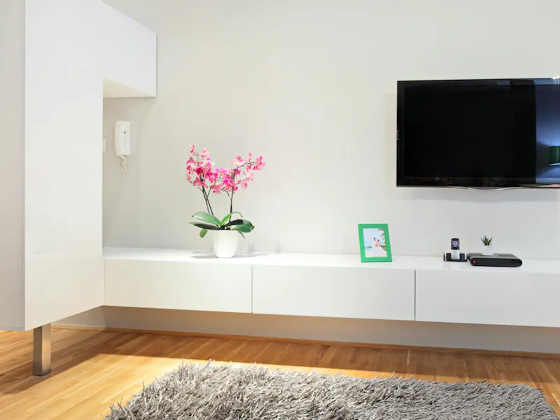 Wall Mounted TV