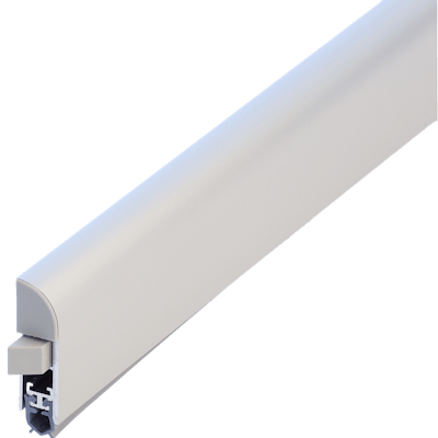 An image of a norseal seal