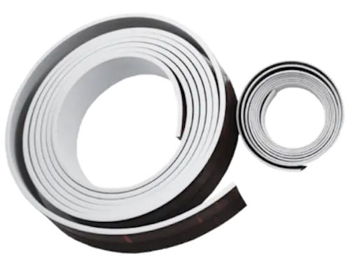 An image of a norseal seal