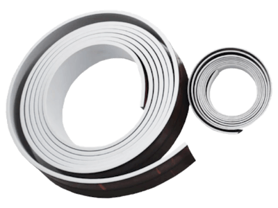 An image of a norseal seal