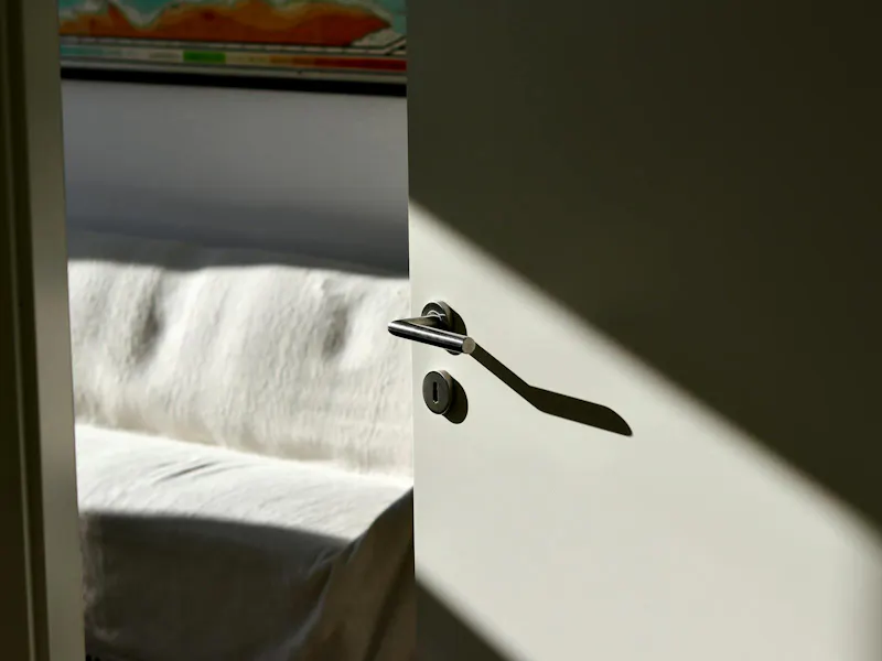 a lever door handle on rose