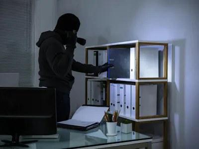 Burglar