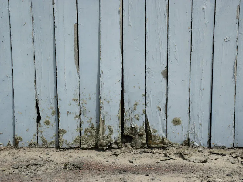 Water Damaged Fence