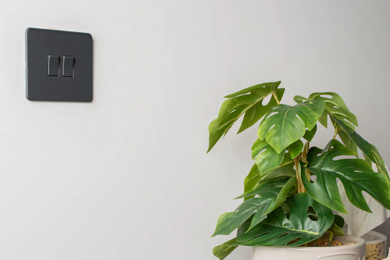 An image of a light switch