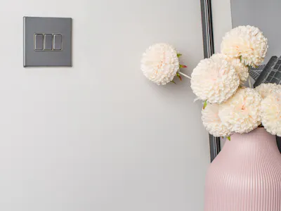 An image of a switch