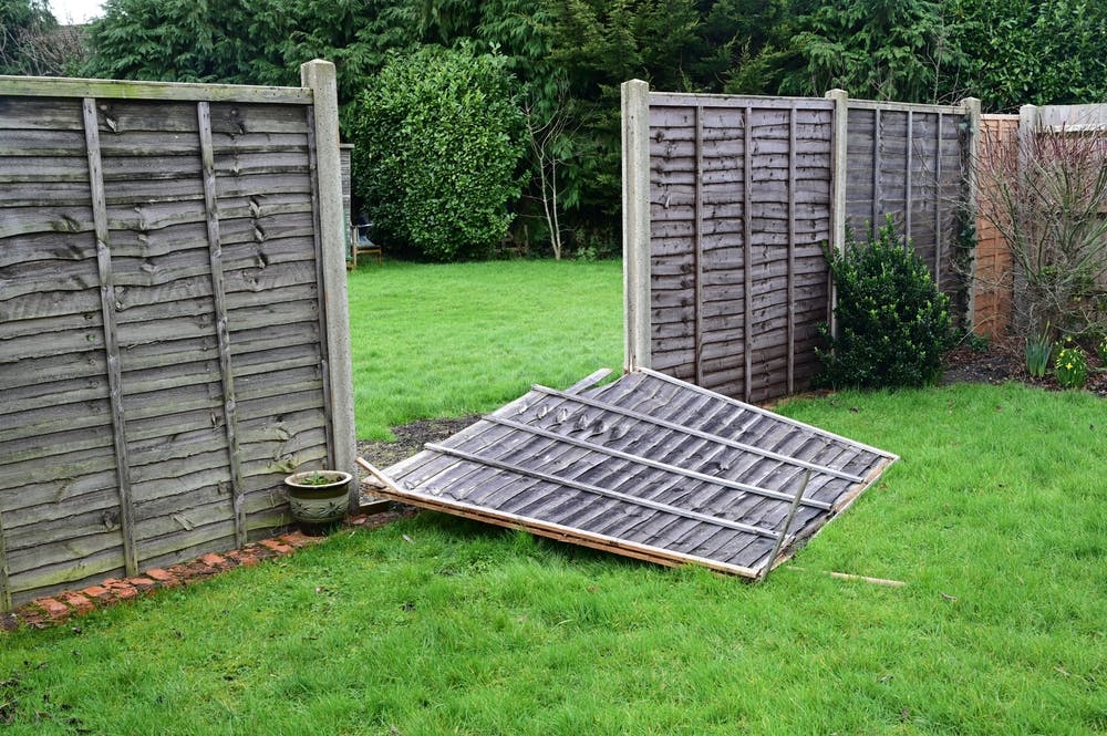 Fallen Fence Panel