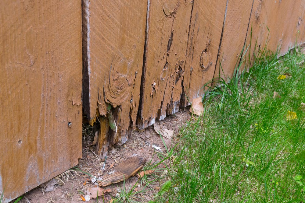 Rotting Fence