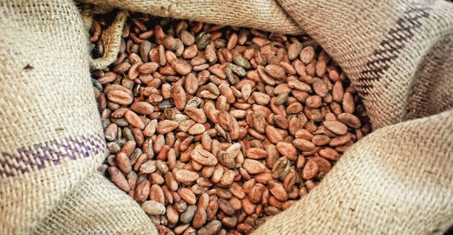 Perú se prepara para exportar café y cacao sostenibles bajo el reglamento de la Unión Europea