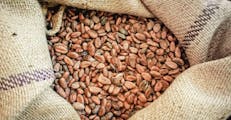 Perú se prepara para exportar café y cacao sostenibles bajo el reglamento de la Unión Europea