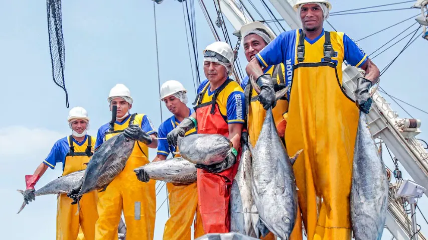 Exportaciones pesqueras y agropecuarias peruanas tuvieron crecimiento del 118,5%
