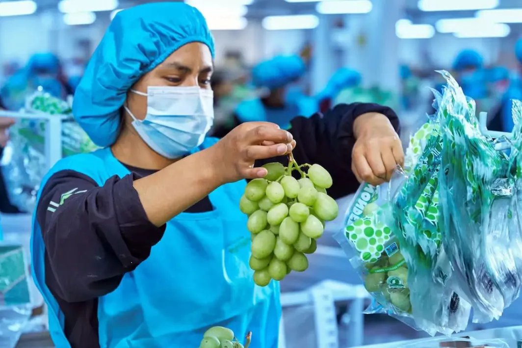 El sector agroexportador muestra sólida resiliencia frente a la coyuntura global y mantiene expectativas optimistas para el 2026