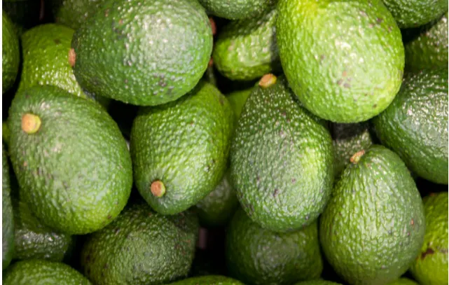 Exportaciones peruanas superan los US$ 35 mil millones durante los primeros cuatro meses del 2026