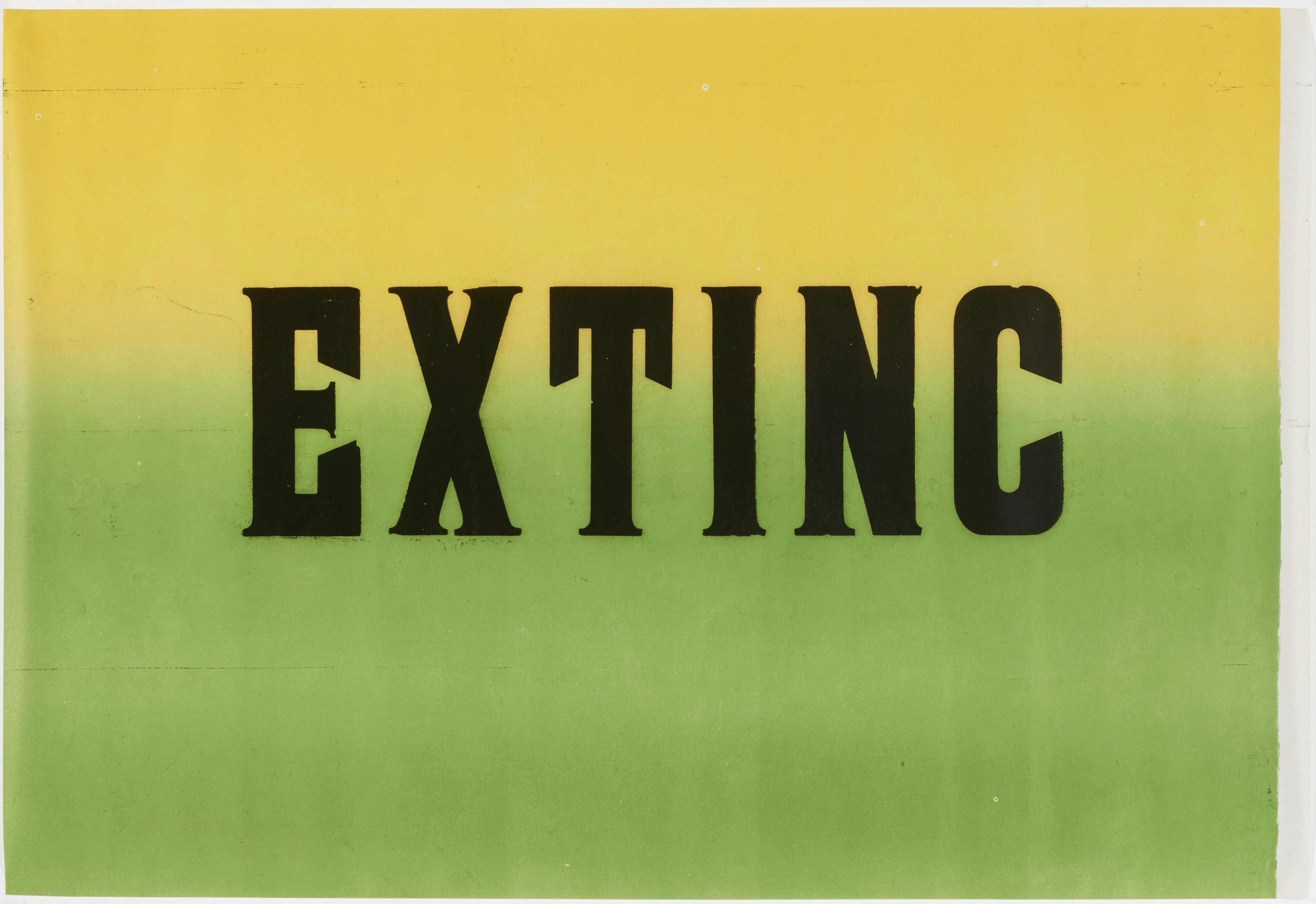 A rectangular poster oriented horizontally. Against a yellow-green gradient backdrop, the word-fragment “EXTINC” is printed in capital block letters in a serif font.