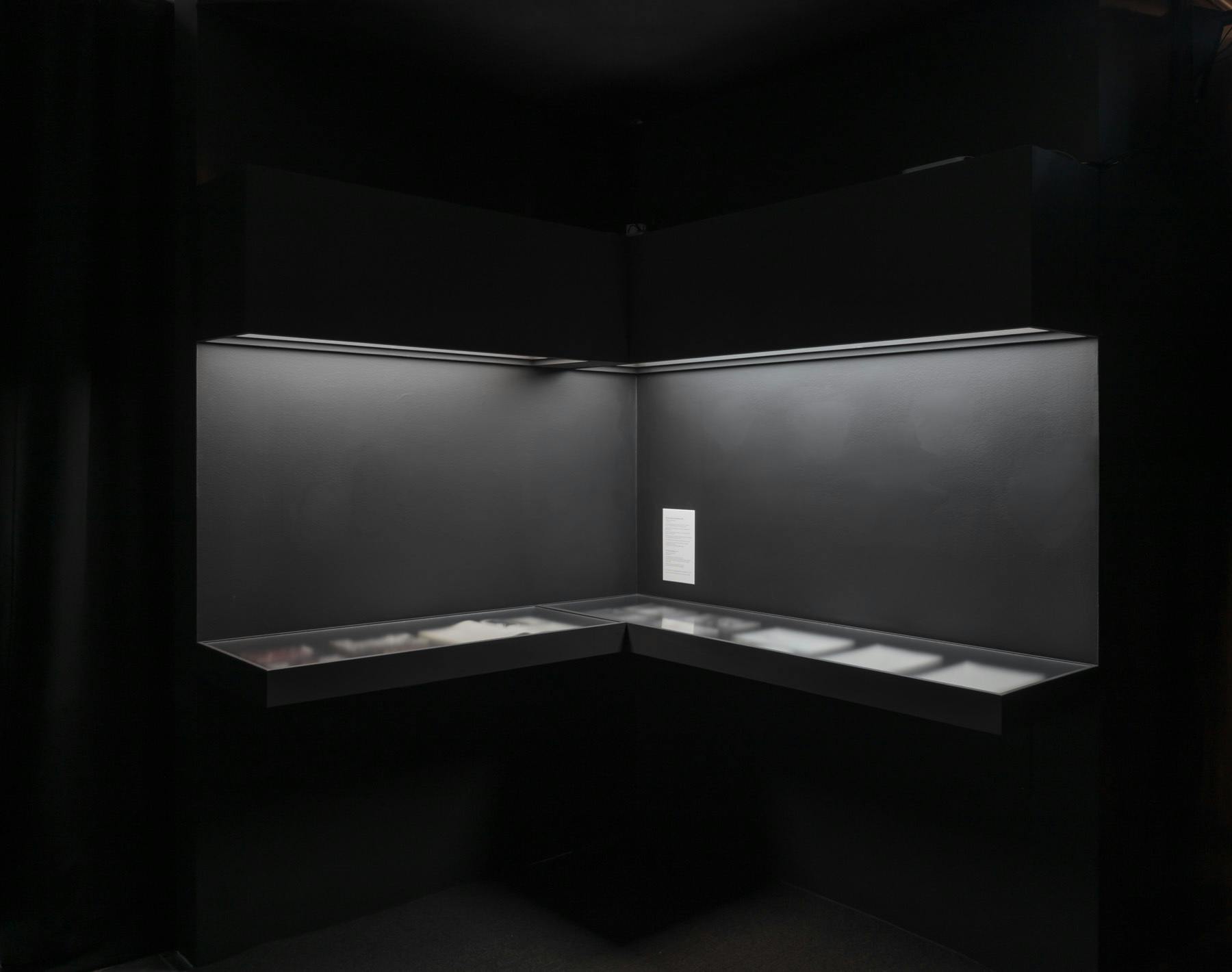 Installation view of vitrines with archival photographs and documents.