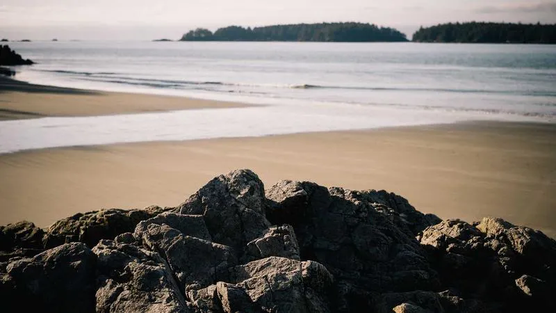 Évolution des résultats Google avec l'IA générative