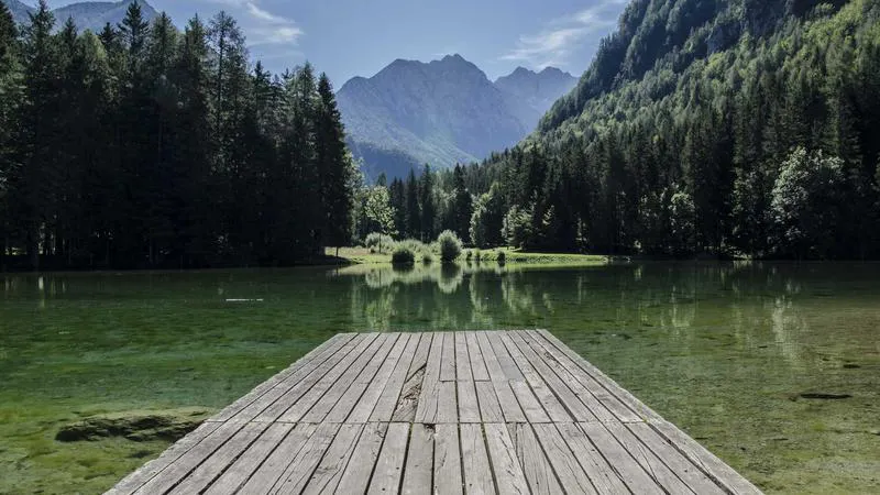Maquette d'un site vitrine professionnel