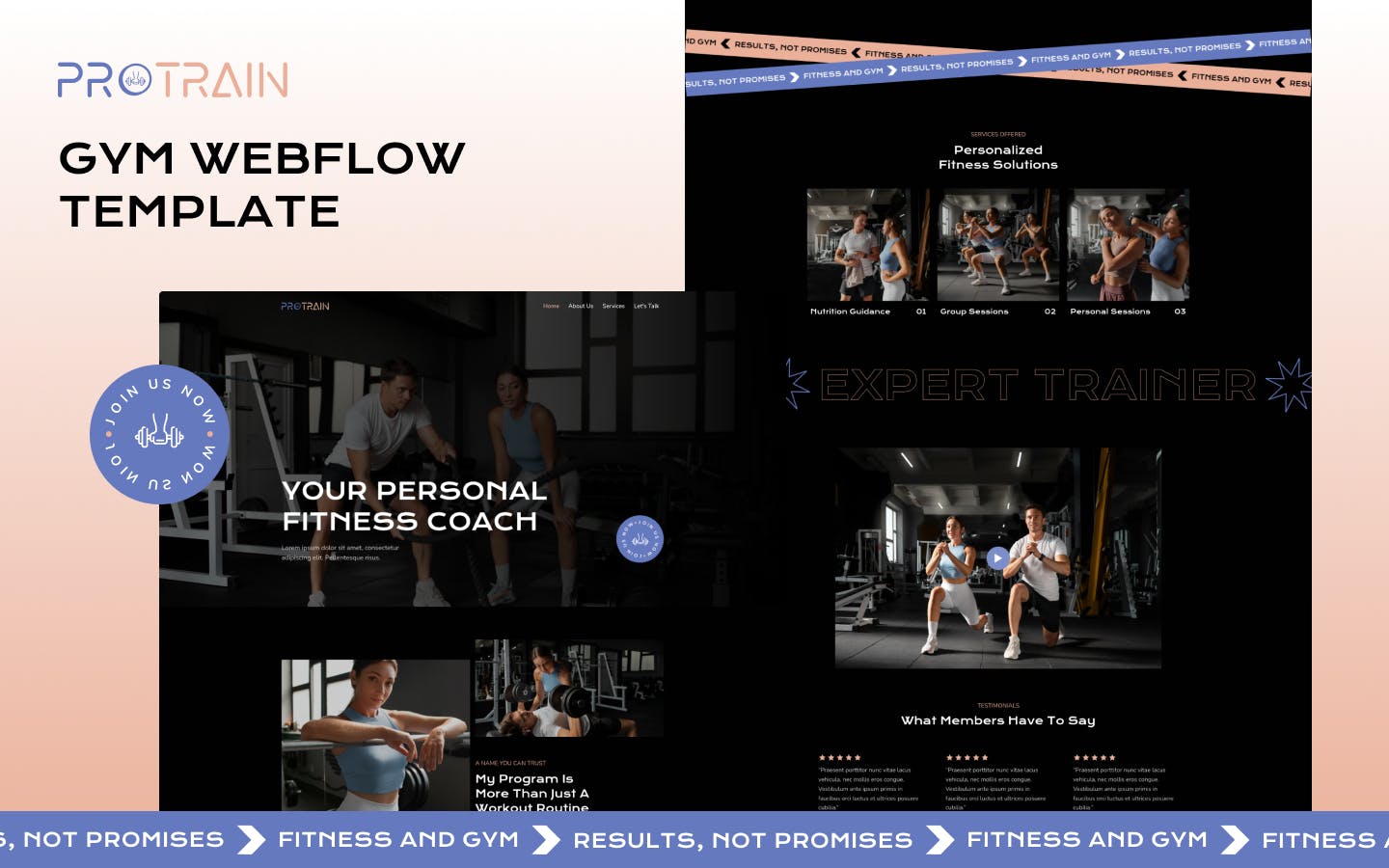 protrain gym webflow template