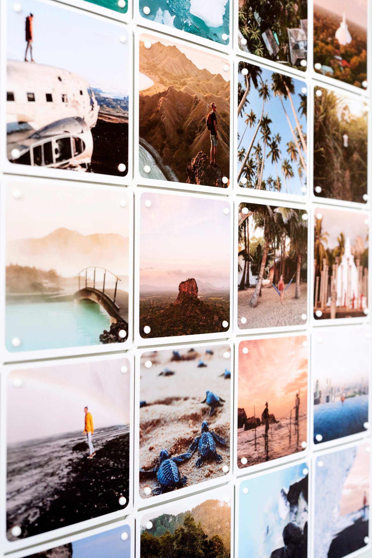 Black Flamingo - IXXI