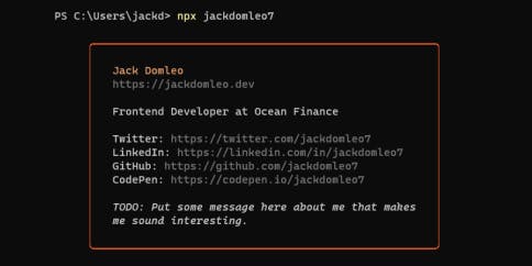 npx jackdomleo7 in the terminal