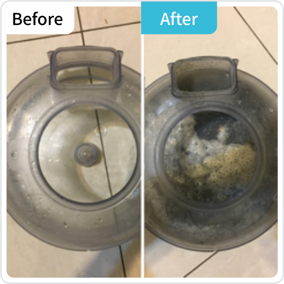 除塵蟎前後對比，徹底清潔保證