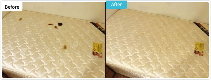 床墊清洗、沙發清潔案例